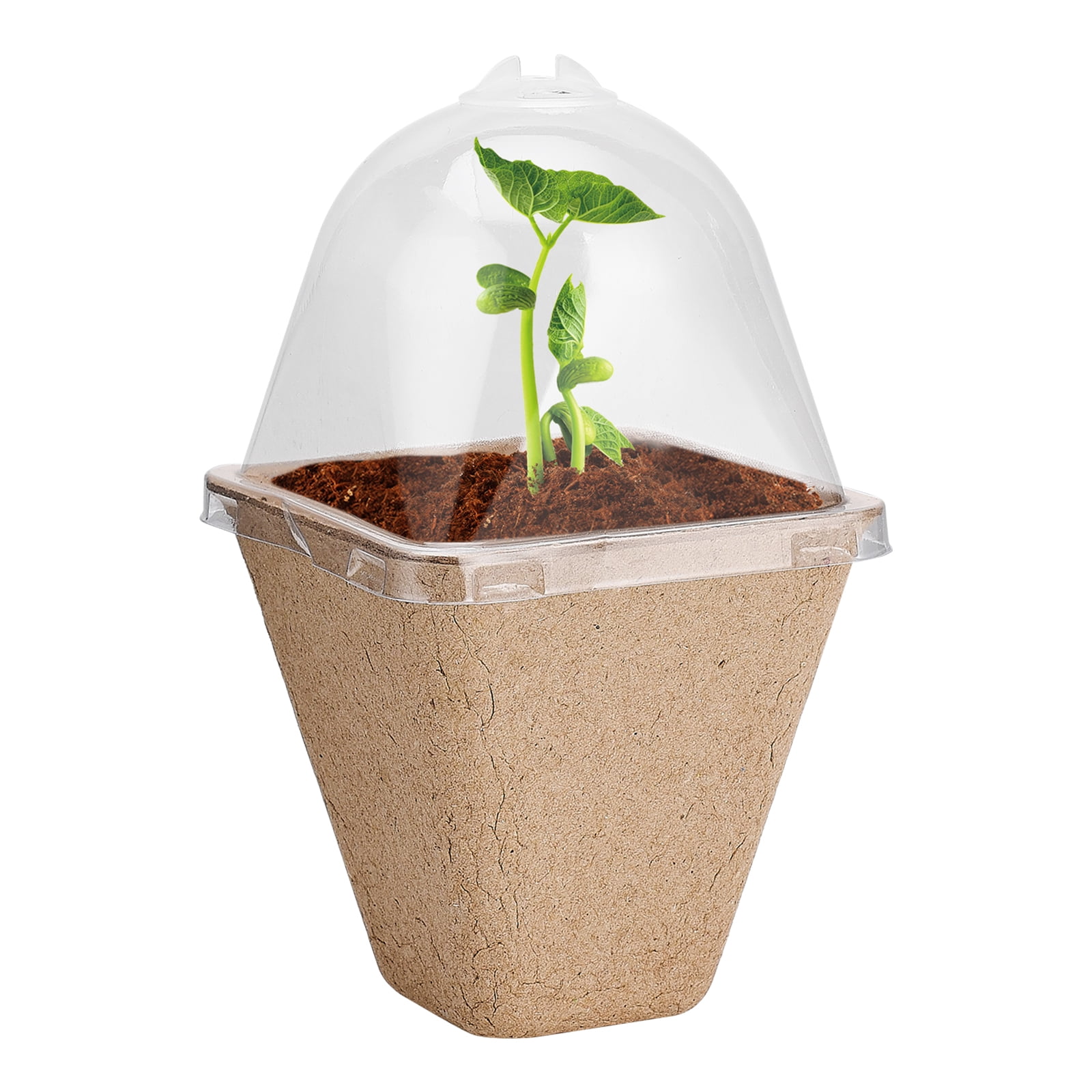 Seedling Cup Biodegradable Planter Pots With Humidity Dome Plant