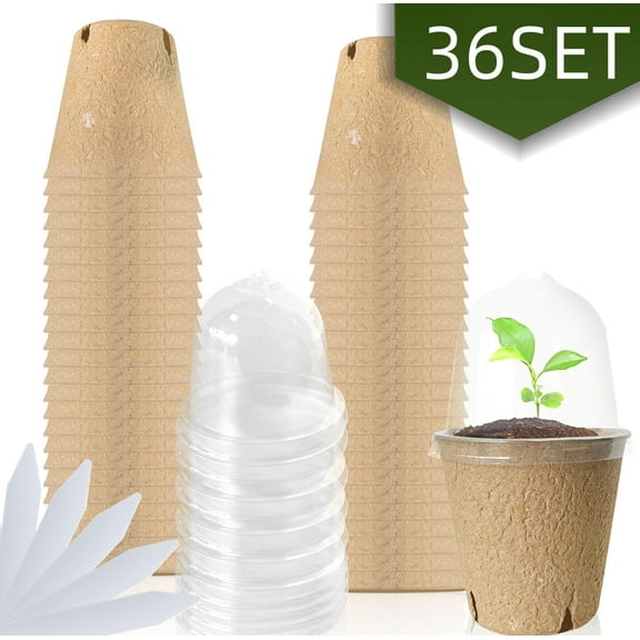 Seedling Pots Nursery Pots Clear Biodegradable Pots for Seedlings with Humidity Dome Drainage Gardening Peat Pods for Starting Seeds with Labels for Outdoor Beige 36 Set