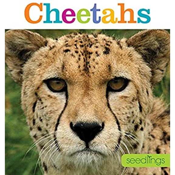 Pre-Owned Seedlings: Cheetahs (Paperback) 1628320400 9781628320404