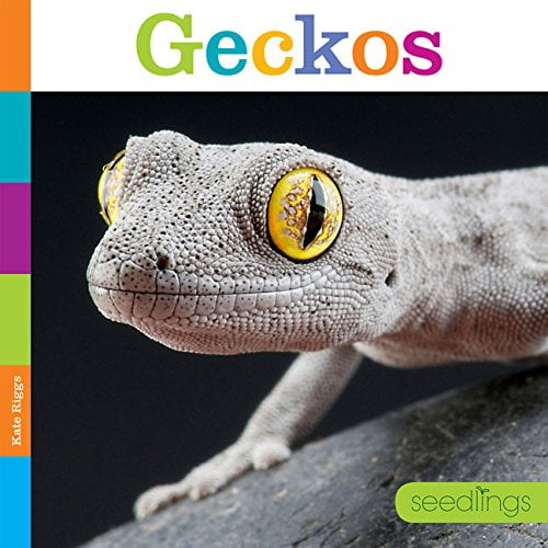Pre-Owned Seedlings: Geckos (Paperback) 162832483X 9781628324839