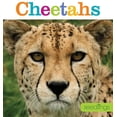 thumbnail image 1 of Seedlings Seedlings: Cheetahs, (Paperback), 1 of 1