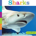 thumbnail image 1 of Seedlings: Sharks (Hardcover), 1 of 3