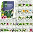 thumbnail image 1 of Seedphony 35 Medicinal & Tea Herb Seeds Variety Pack, 16,285+ Heirloom Non-GMO Herbs Seeds for Planting, 1 of 8