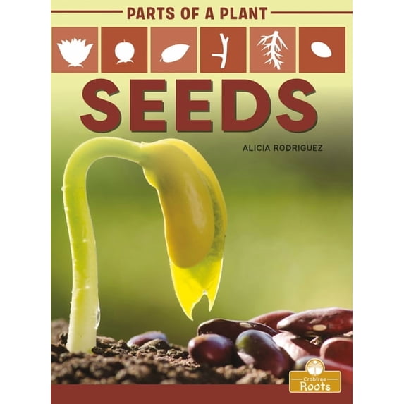 Seeds