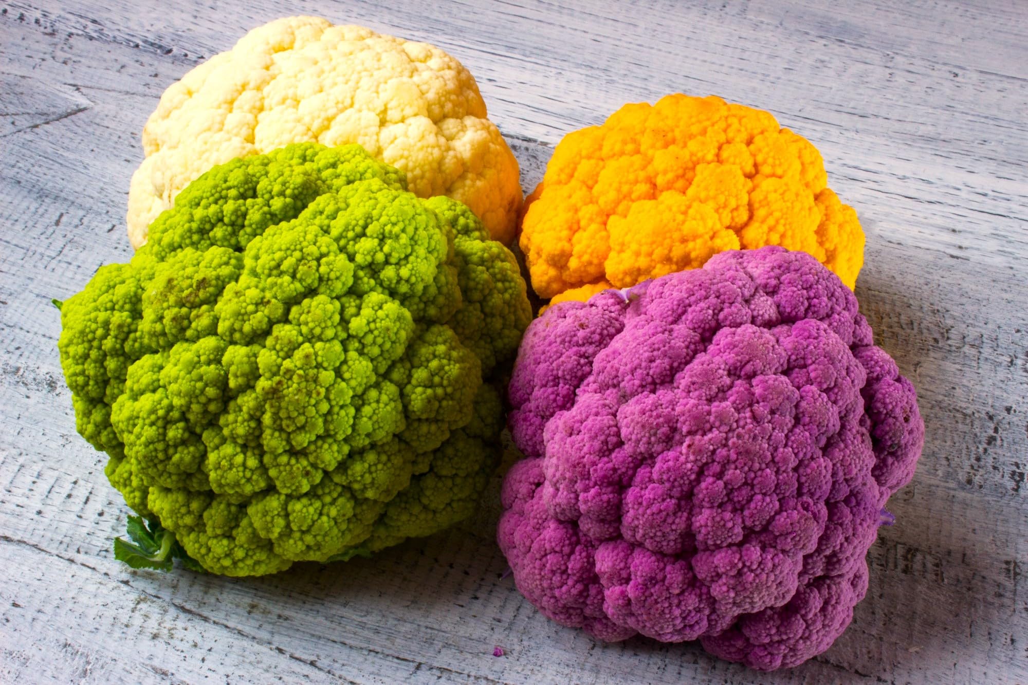 Seeds Multicolor Cauliflower Mix 200+ Seeds SMRto Grow in Spring or ...