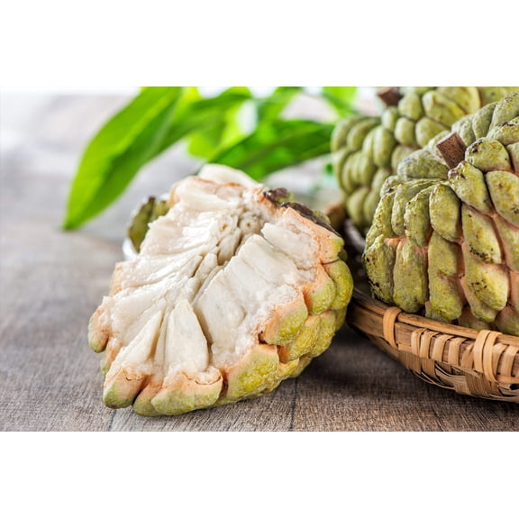 15 Seeds - SUGAR APPLE Sweetsop Custard Apple Annona Squamosa Sweet Delicious Edible Fruit Tree SEEDS