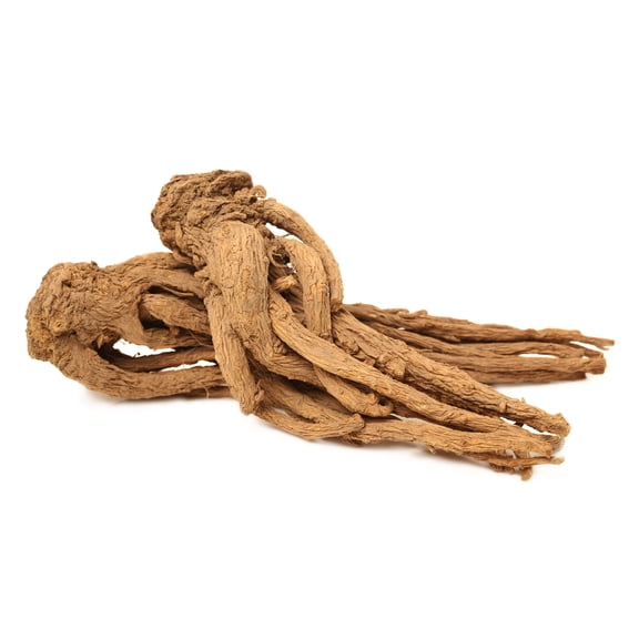 Seedville 50 Female Ginseng Flower Seeds, Dong Quai Chinese Angelica Sinensis