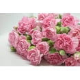 thumbnail image 1 of Seedville 50 La France Pink Carnation Seeds, Dianthus Caryophyllus Chabaud Flower, 1 of 8