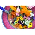 thumbnail image 1 of Seedville Edible Mix Flower Seeds, Beautiful Vibrant, 1 of 10