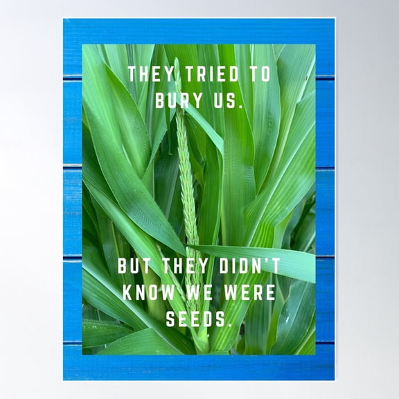 Seedz Poster Wall Art, Modern Wall Decor For Living Room Bedroom, 16x24 UNFRAMED