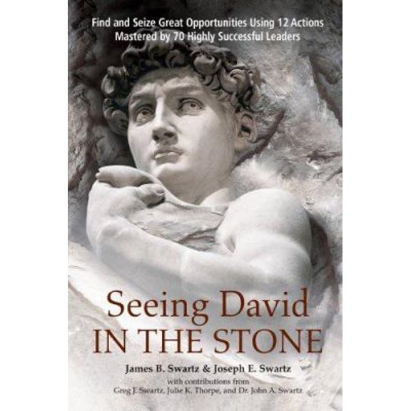 Pre-Owned Seeing David in the Stone (Hardcover) 0977945650 9780977945658