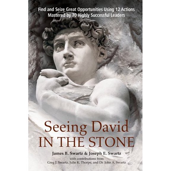 Pre-Owned Seeing David in the Stone (Hardcover) 0977945650 9780977945658