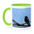 thumbnail image 1 of 3dRose, Seeing Double Grackle Bird Digital Art by Angelandspot, 11oz Two-Tone Green Mug, 1 of 7