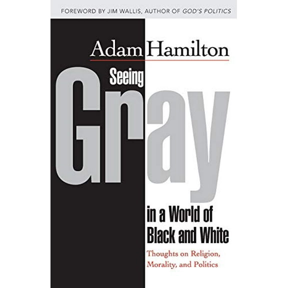 Pre-Owned Seeing Gray in a World of Black and White: Thoughts on Religion, Morality, and Politics (Paperback) 1426766629 9781426766626