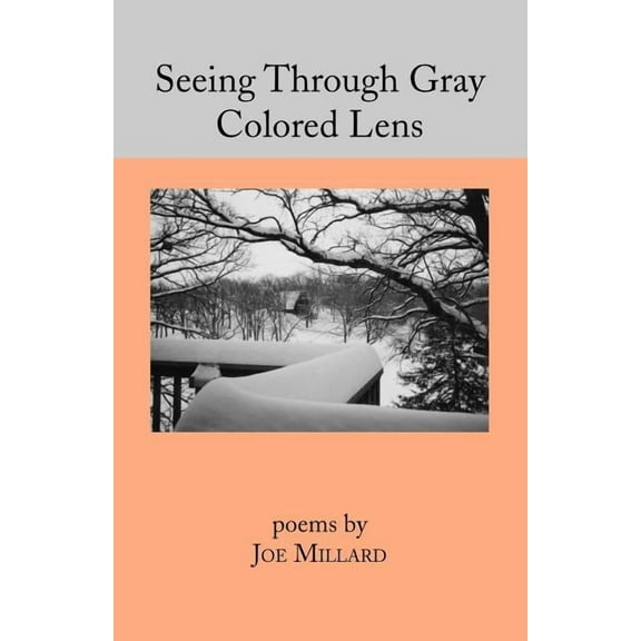 Seeing Through Gray Colored Lens (Paperback)
