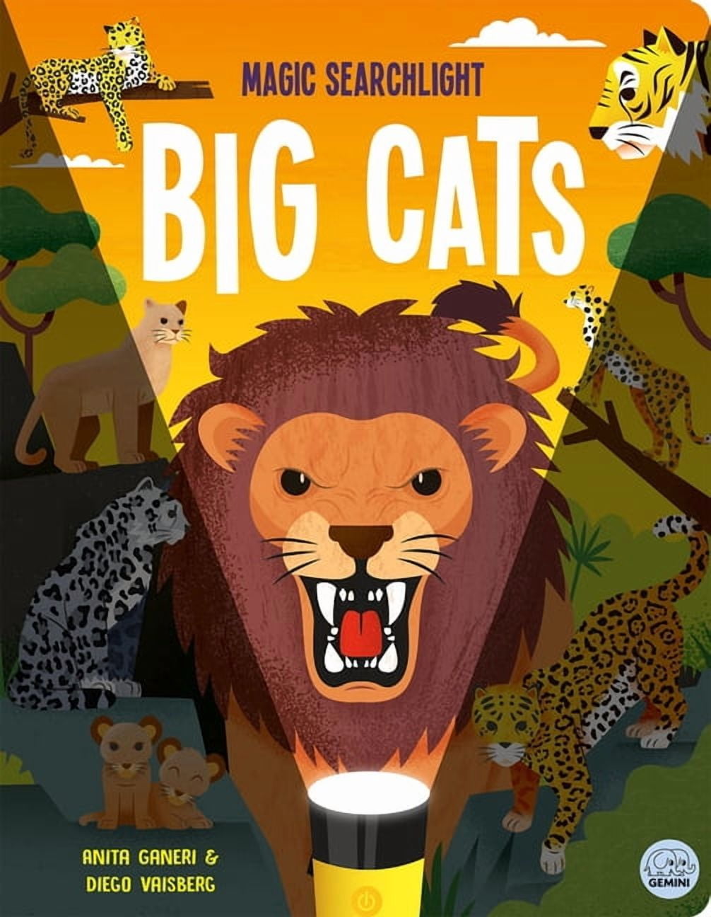 Seek and Find - Magic Searchlight Books Magic Searchlight - Big Cats, (Hardcover)