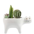 thumbnail image 1 of SeekLGT Cat Planter Ceramic Succulent Pot Mini Flower Pot Cartoon Design Cactus Planter for Desk Windowsill Home Office Decoration Small Indoor Plants Gift, 1 of 9