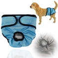 thumbnail image 1 of SeekLGT Female Dog Diaper Leak Proof Washable Reusable for Small Medium Large Dogs 1 Pack, 1 of 9