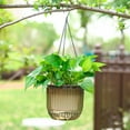 thumbnail image 1 of SeekLGT Outdoor Hanging Planter Basket Self Watering Flower Pot with Detachable Chains for Indoor Windowsill Garden and Home Decor, 1 of 3