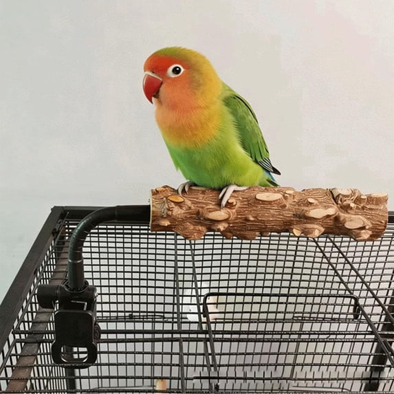 SeekLGT Parrot Stand Adjustable and Portable Bird Stand for Inside with Movable Training Set for Cockatiels Conures and Medium Small Parrots Black 1 Count