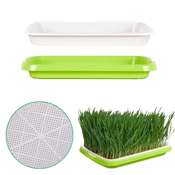 SeekLGT Seed Sprouter Tray with Humidity Lid, Soil-Free Germination Kit for Microgreens Wheatgrass Beans Peas and Cat Grass, 12.79 x 9.44 x 1.57 Inch