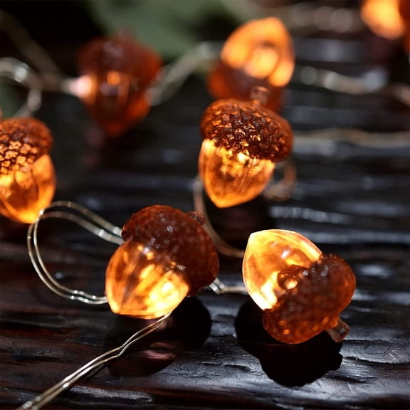 SeekLGT Thanksgiving Garland String Lights - 30 LED Autumn Fairy Lights, Battery Operated for Fall Decor, Wedding and Bedroom Decoration