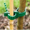 thumbnail image 1 of SeekLGT Tree Ties Adjustable Plant Ties Tree Stake Support Flexible Plastic Strap for Garden Trees Vines Shrubs Training System 24cm, 1 of 6