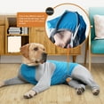 thumbnail image 1 of SeekLGTDog Recovery Suit Breathable Pet Pajamas Full Body Bodysuit for Shedding and Licking Prevention Soft Cotton Puppy Recovery Shirt, 1 of 6