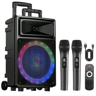Seenda Karaoke Machine with 2 Wireless Microphones, Bluetooth Speaker, and Portable PA System – Includes FM Radio and 12" Woofer for Party