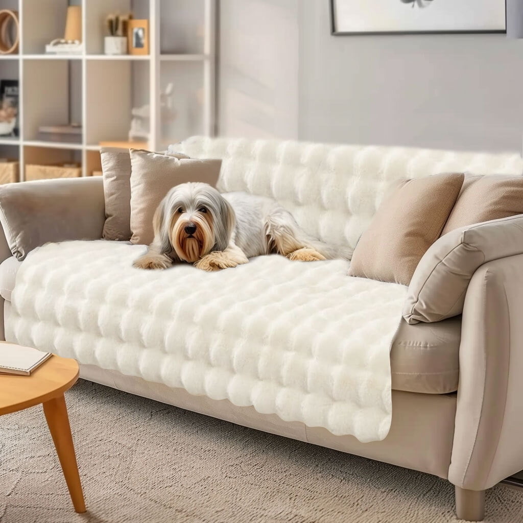 2 seater sofa slipcover new arrivals