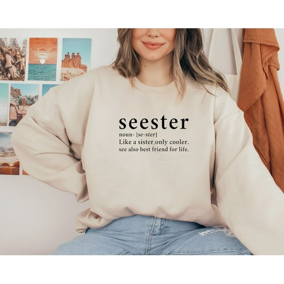 Seester Like A Sister Only Cooler Sweatshirt, Seester Noun Hoodie, Seester Definition Hoodie, Gift for Sister, Womens Hoodie, Funny Hoodie