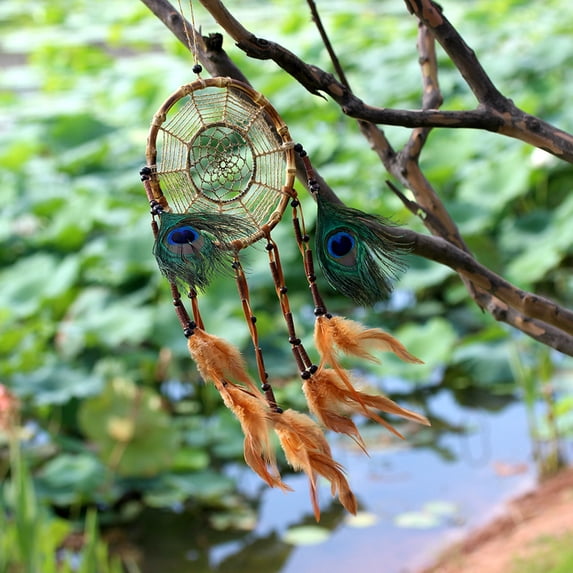 Seewan Dream Catchers ,Bird's Nest INS Style Handmade Feather Aboriginal Home Wall Decoration