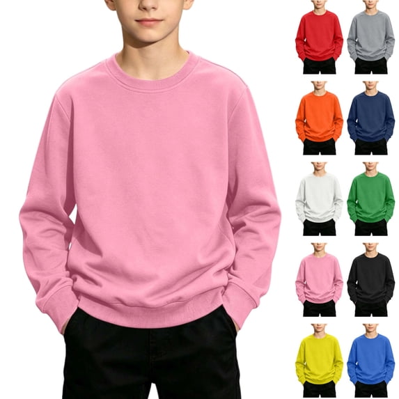 Seffadzy Kids Crewneck Sweatshirt Long Sleeve Solid Color Pullover Lightweight Stretchy Casual Top for Boys Girls 1-13 Years 2-3 Years