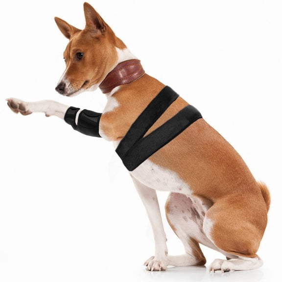 Dog Knee Pads ( Single Knee), Brace Hind Leg Knee Braces for Torn Hind Leg, Luxating Patella, Cruciate Ligament for Relieve Joint Pain and Muscle Sore Both, Size XXL