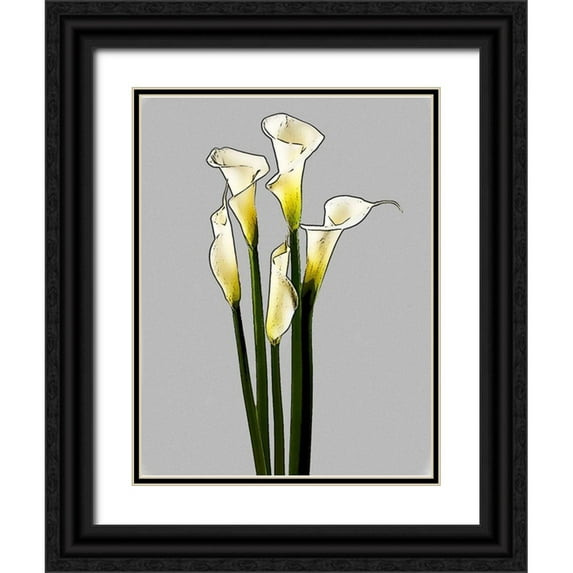 Segal, Alan 12x14 Black Ornate Wood Framed with Double Matting Museum Art Print Titled - Calla