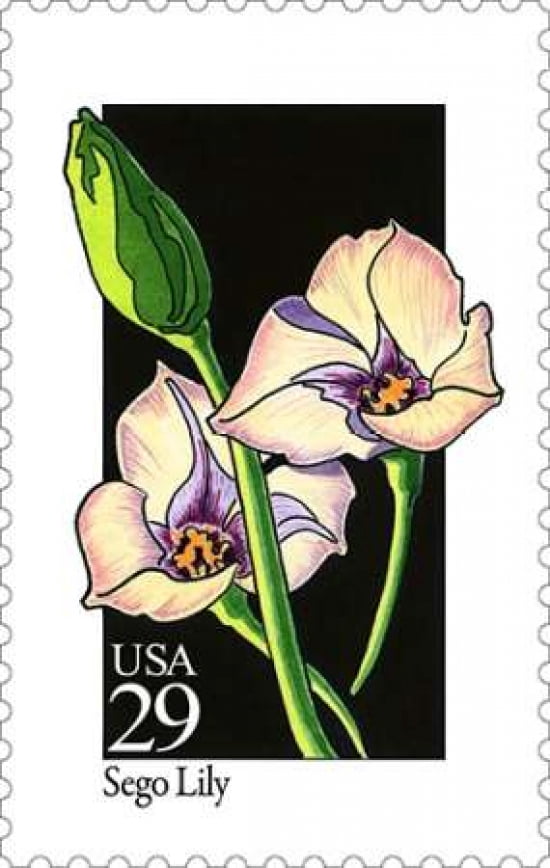 Sego Lily Canvas Art - US POSTAL SERVICE (12 x 18)