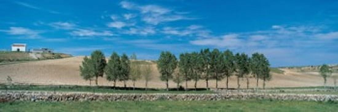 Segovia Spain Canvas Art - Panoramic Images (18 x 6)