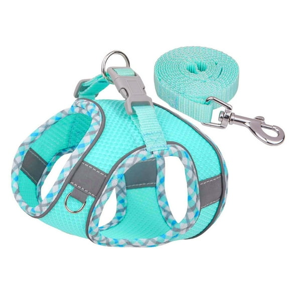 Sehao Dog Harness For Small Medium Large Dogs No Pull Puppy Harness And Leash Set Dog Harness For Walking Running Training Small Dog Harness Medium Dog Harness Mint Green XXS