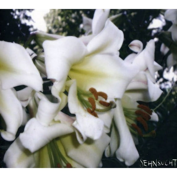 Sehnsucht - Wuste - Alternative - CD