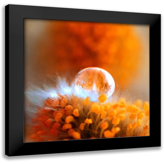 Seidel, Lily Andrea 15x15 Black Modern Framed Museum Art Print Titled - Eternal Flame