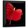 thumbnail image 1 of Seidman, Barry 14x18 Black Modern Framed Museum Art Print Titled - Anthurium 1, 1 of 5