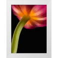 thumbnail image 1 of Seidman, Barry 14x18 White Modern Wood Framed Museum Art Print Titled - Glowing Tulip, 1 of 4