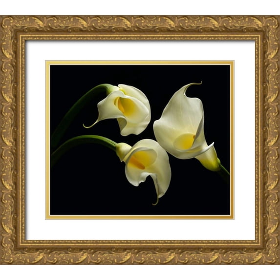 Seidman, Barry 17x15 Gold Ornate Wood Framed with Double Matting Museum Art Print Titled - Three Calla Lillies