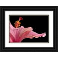 thumbnail image 1 of Seidman, Barry 18x14 Black Ornate Wood Framed with Double Matting Museum Art Print Titled - Hibiscus 1, 1 of 4