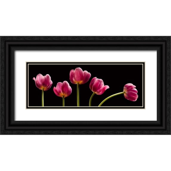 Seidman, Barry 18x9 Black Ornate Wood Framed with Double Matting Museum Art Print Titled - Five Tulips