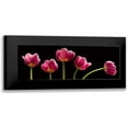 thumbnail image 1 of Seidman, Barry 24x11 Black Modern Framed Museum Art Print Titled - Five Tulips, 1 of 5