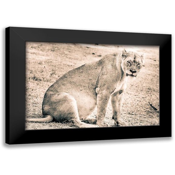 Seifinger, Toby 14x11 Black Modern Framed Museum Art Print Titled - Liom-Mom
