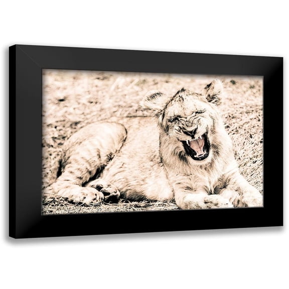 Seifinger, Toby 14x11 Black Modern Framed Museum Art Print Titled - Lion-Baby