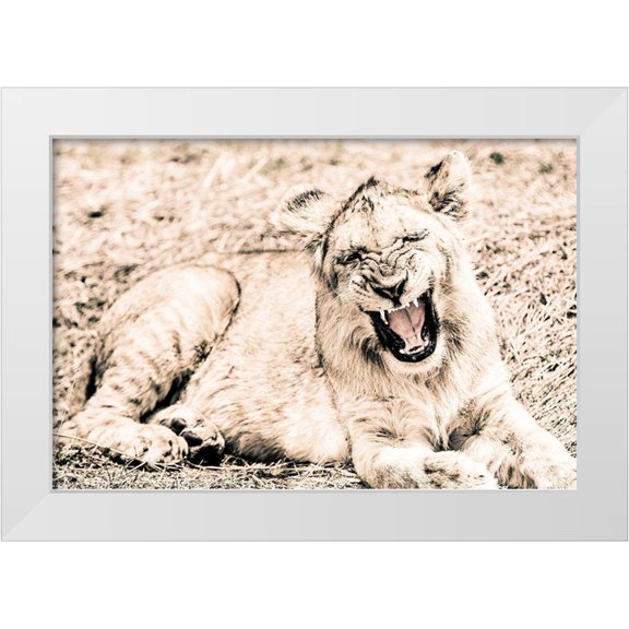 Seifinger, Toby 14x11 White Modern Wood Framed Museum Art Print Titled - Lion-Baby