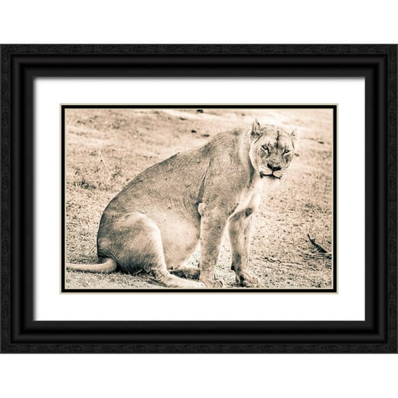 Seifinger, Toby 18x13 Black Ornate Wood Framed with Double Matting Museum Art Print Titled - Liom-Mom